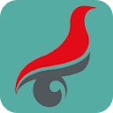 学信网（查学历）